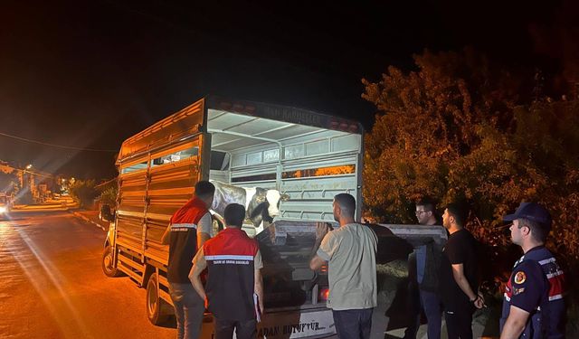 “Bir şey olmaz” demişti, 105 bin liralık ceza makbuzu elinde kaldı!