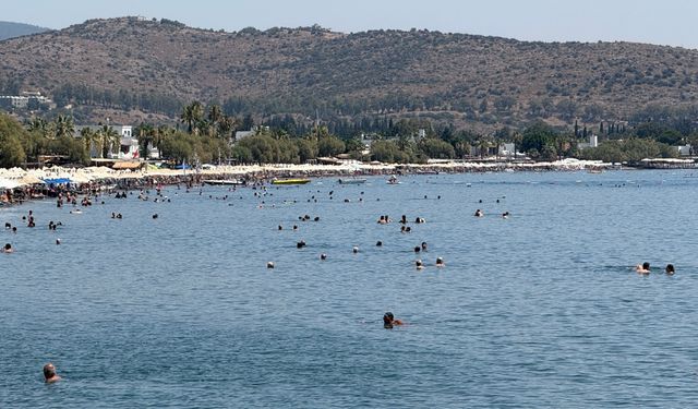 Bodrum’da gölge için yarıştılar