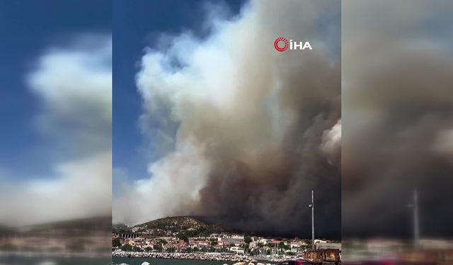 Büyük yangın: 700 hektarlık alan zarar gördü