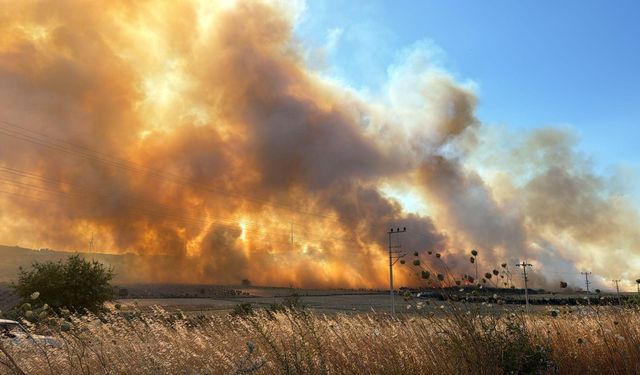 Son dakika! Seferihisar’da yangın
