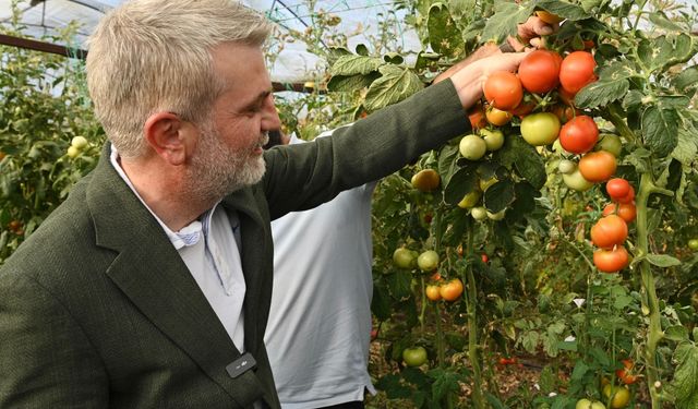 Tarıma dev destek: Çiftçiye müjde gibi açıklamalar