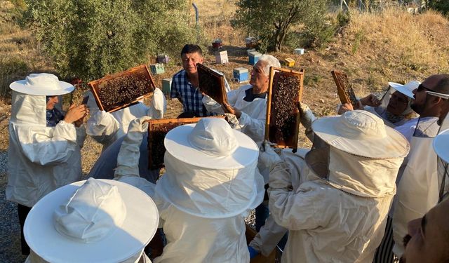 Manisa Büyükşehir’den arıcılara uygulamalı eğitim