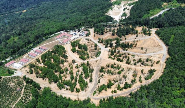 Düzce’de sahipsiz hayvanlara 80 bin m² doğal alan kuruldu