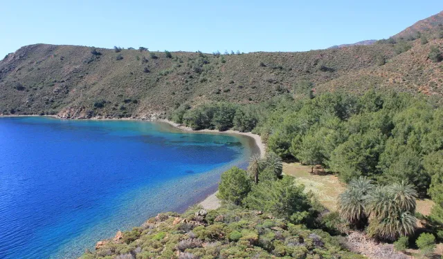 Ege’nin saklı koyunda hurma ve denizle kusursuz buluşma!