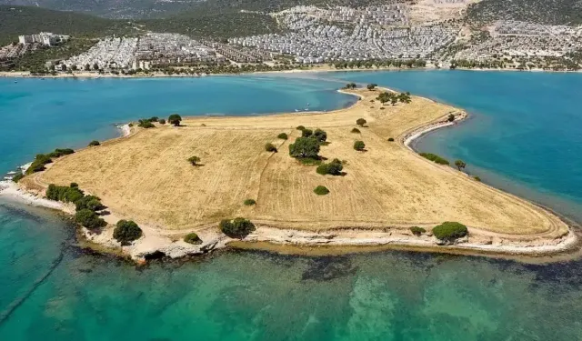 Seferihisar ve Urla’dan farklı: Ege’nin ömür uzatan saklı adası