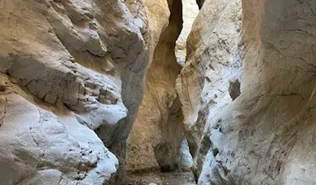 Ege’de efsane gibi bir keşif: Bir keçiyle başladı, şimdi herkes orada!