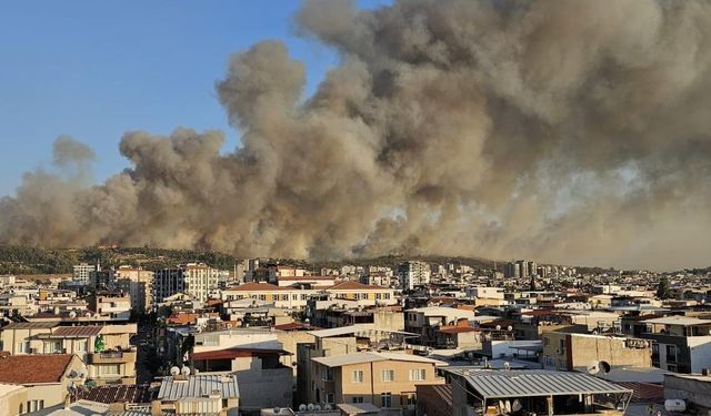Son dakika! İzmir'deki orman yangını kontrol altına alındı