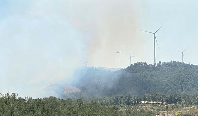 Son dakika! Çanakkale'de yangın yeniden başladı