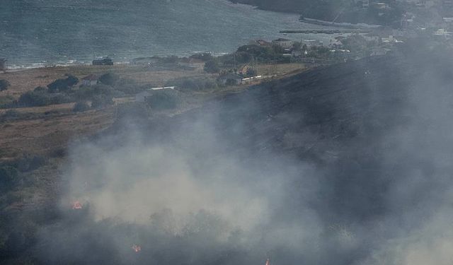 Paşalimanı Adası’nda yangın! Hızla yayılıyor