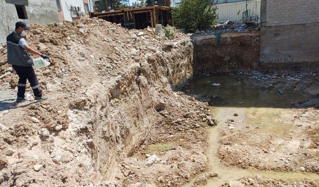 Haşere vakaları arttı: Belediyenin ilaçlama çalışmaları ne durumda?