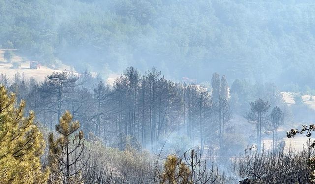 Korku dolu anlar:  Alevler yerleşim yerlerine yaklaşıyor