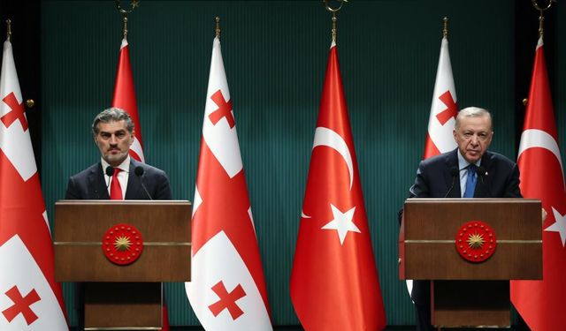 Milyar dolarlık dev yatırım: Gürcistan ile stratejik hamle