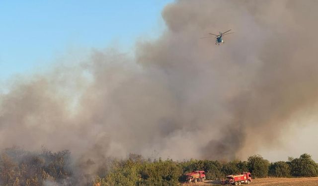 Rüzgar felaketi tetikledi: Havadan müdahale sürüyor