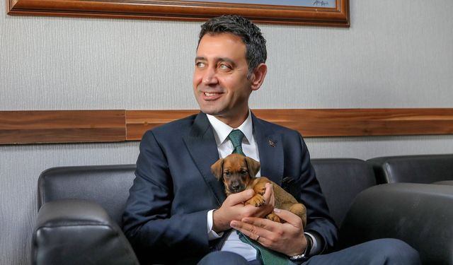 Bayraklı'da binlercesi tedavi edildi, yüzlercesi yuva buldu