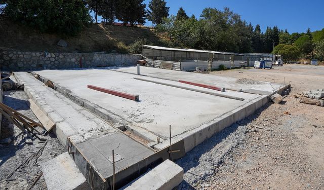 Gaziemir Belediyesi can dostları unutmadı