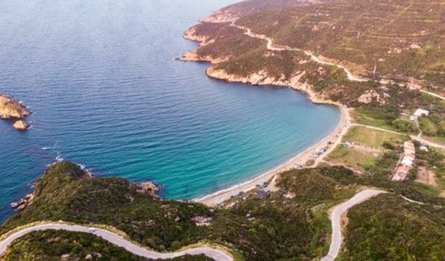 4. Zeytin Dalı Kültür, Sanat ve Barış Festivali başlıyor!