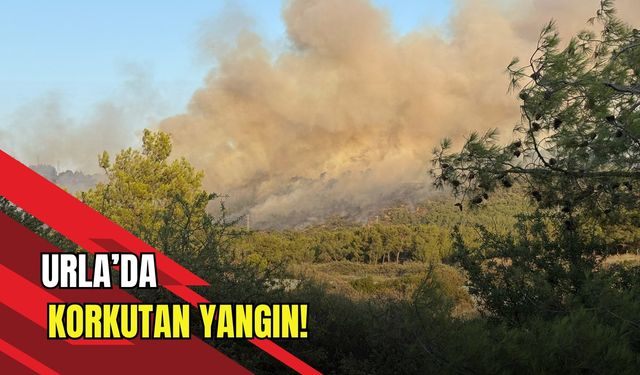 İzmir Urla'da korkutan yangın: Alevler yerleşim yerlerine yaklaşıyor