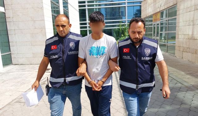 Hırsızlıkta yeni boyut! Kamyonu çaldıktan sonraki adımı hayrete düşürdü