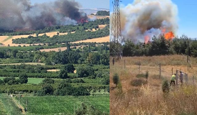 Tarım arazisinde başladı, ormana yayıldı! Çanakkale yangınına müdahale sürüyor
