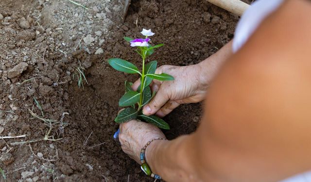 Balçova’da Alzheimer Günü’ne özel anlamlı etkinlik