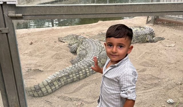 Karadoğan’da yaralar sarılıyor!