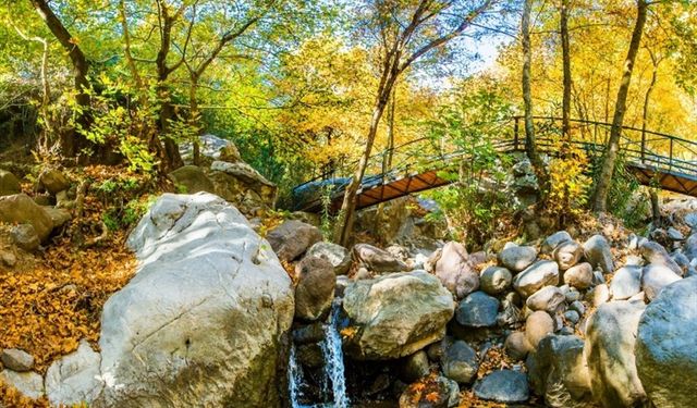 Ekim’de İzmir’de piknik keyfi: Hava soğumadan kaçırılmayacak 12 muhteşem alan