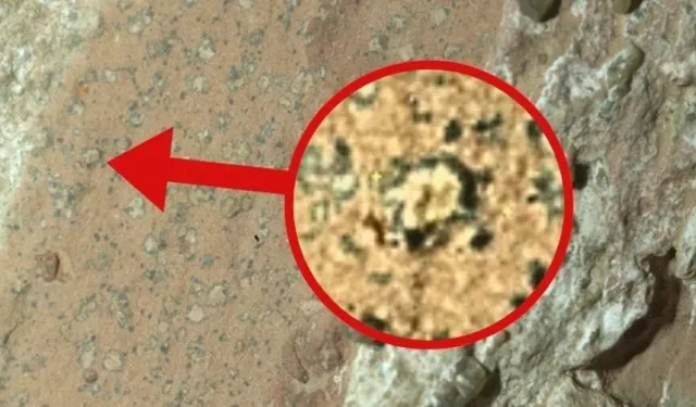 Mars’ta yaşam izleri mi bulundu?