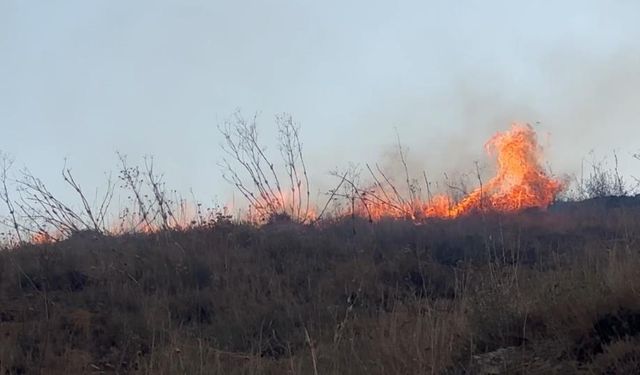 Yangın çığ gibi büyüyor! Alevler yerleşim yerine dayandı