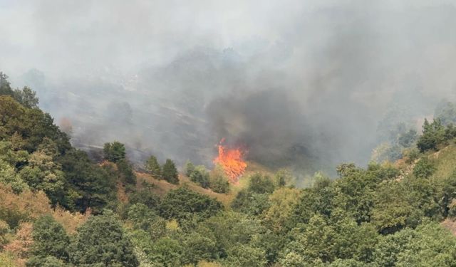Düzce’de yangın paniği: Gökyüzü dumanla kaplandı!