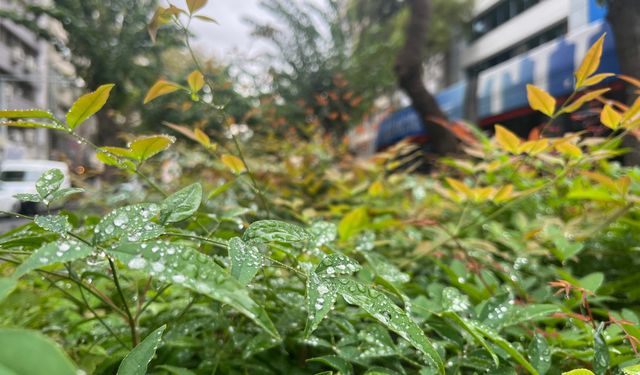 İzmir’de uzun süren kuraklığın ardından yağmur sevinci