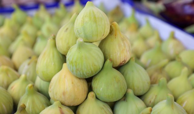 Buca’nın zenginliklerini tatmaya devam