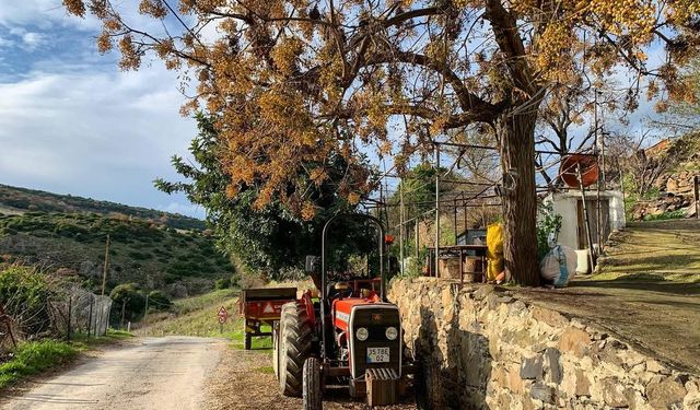 Ne Ödemiş ne de Birgi! Yarımadanın 400 yıllık Türkmen köyü turistlerin akınına uğruyor