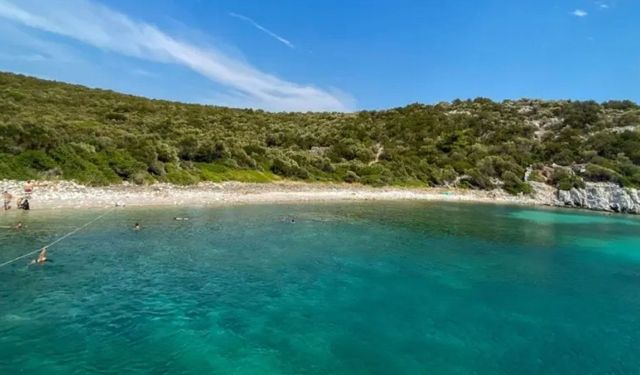 İzmir'in en sakin koyu! Turkuaz denizi ve yemyeşil doğasıyla büyülüyor