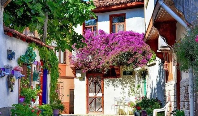 Kırmızı çatılı evleri, zeytinlerin süslediği doğasıyla Marmara'nın en güzel eski Rum köyü