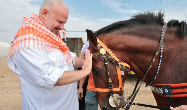Türkiye’nin şampiyon atları Menemen’de yarıştı