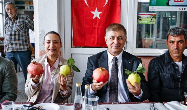 Başkan Tugay nar hasadında