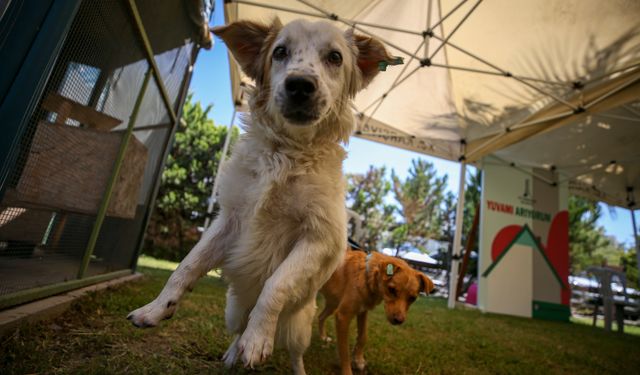 Karşıyaka’da ruhsat başvurusunda şaşırtan şart