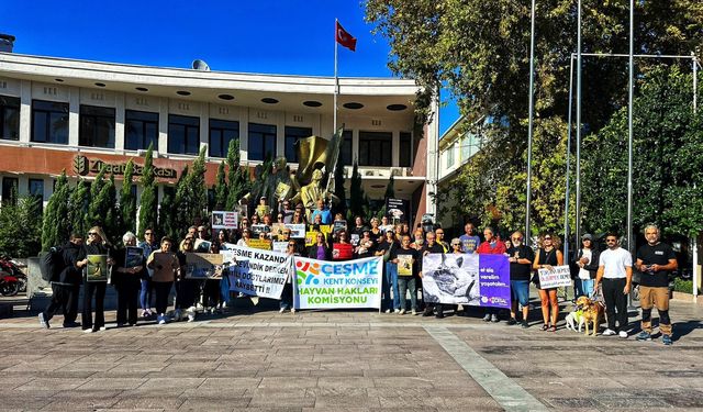 Çeşmeli Hayvanseverler 4 Ekim Dünya Hayvanları Koruma Günü’nde: ‘Yastayız, isyandayız!’