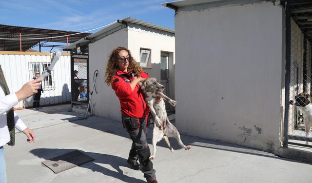 Bayraklı’da nefes kesen tatbikat: Hayvanlar saniyeler içinde tahliye edildi