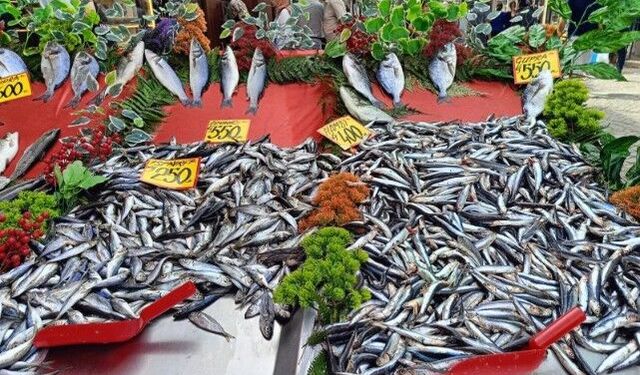 Bir balık var ki sağlıkta zirveye taşıyor: Kimse tahmin edemezdi!