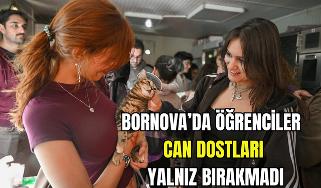 Bornova'da öğrenciler can dostları yalnız bırakmadı