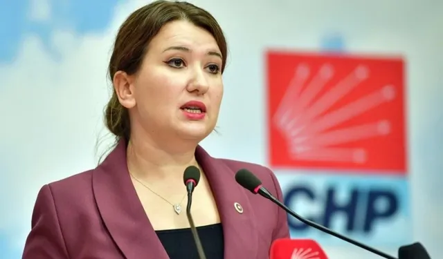 CHP’li Gökçe Gökçen’den sert çıkış: 'Ailemi hedef alan alçaklara sesleniyorum'