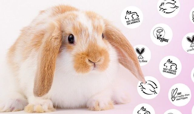 Ürünlerin hayvanlar üzerinde test edilmediğini anlamanın yolları