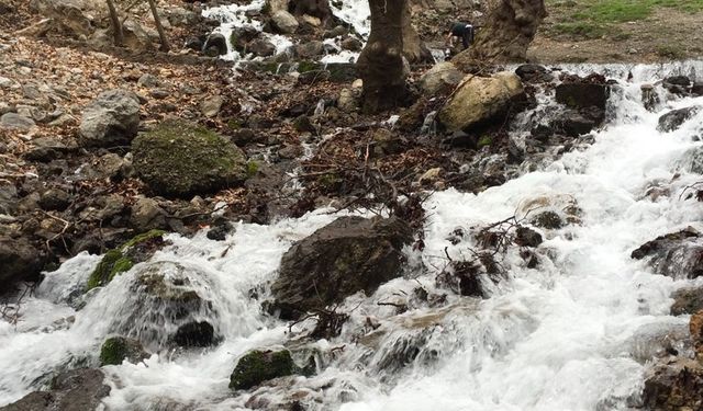 İzmir Buca'da saklı cennet: Gürlek Şelalesi'ne nasıl gidilir?