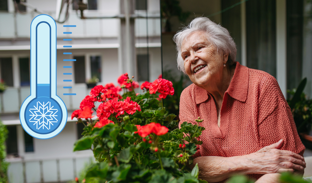 Kış soğuğu bitkilerinizi mahvetmesin! Dış mekan saksı ve çiçekliklerinizi nasıl korursunuz?