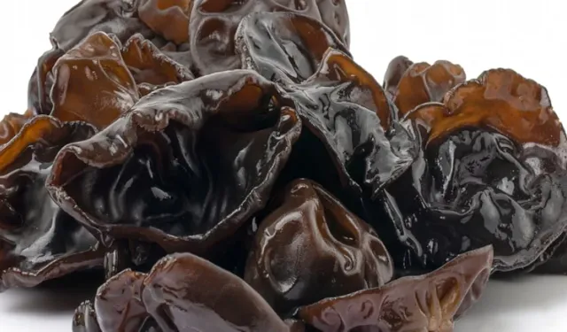 Hasadı neredeyse imkansız! Kilosu servet değerinde