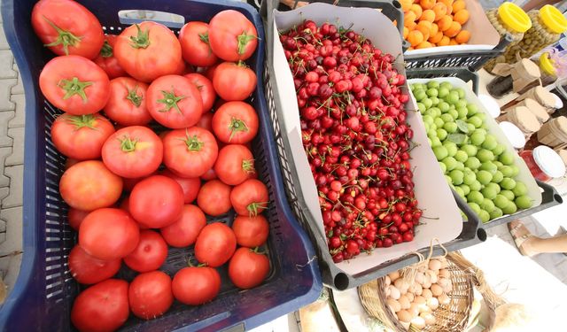 Yerel üreticiden doğrudan halka: Efes Selçuk’ta Üretici Pazarı açılıyor