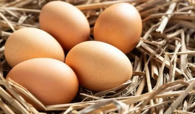 Yumurtadan sıkılanlara müjde! İşte protein dolu 6 sağlıklı alternatif