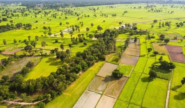 TOKİ'den 44 ilde dev arsa hamlesi: 48 ay vade ile toprak sahibi olma fırsatı!