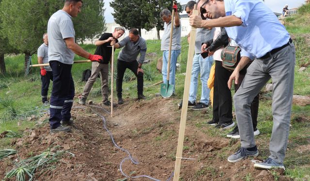 Bornova, susuzluğa karşı çareyi buldu